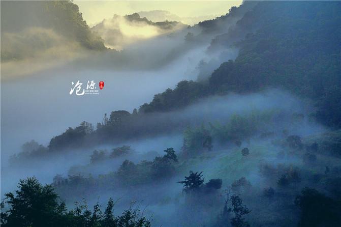 了解《火影忍者》里朝为孔雀昼为虎下一句是什么形容凯的?,探索知识星球的精彩世界